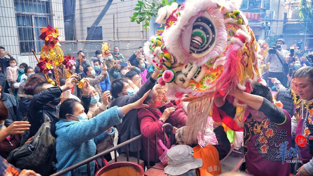 4米高巨型"生菜"驾到,广州荔湾区坑口生菜会16日启动|民俗|广州市
