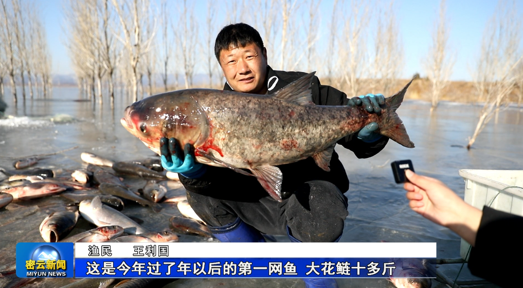 密云水库新春第一网