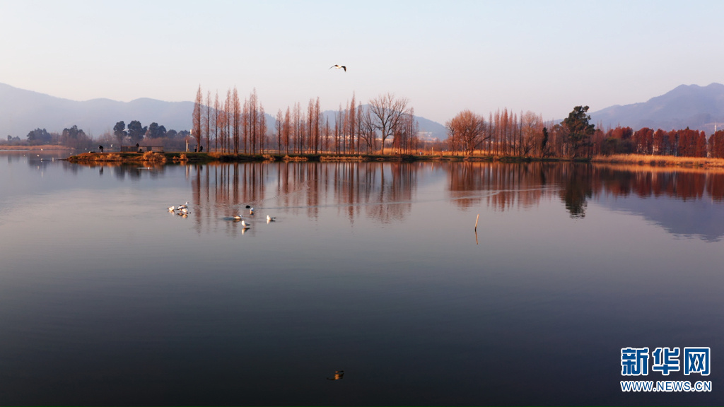 昆明滇池旅游怎么玩 昆明暑期游学和节庆有哪些好选择
