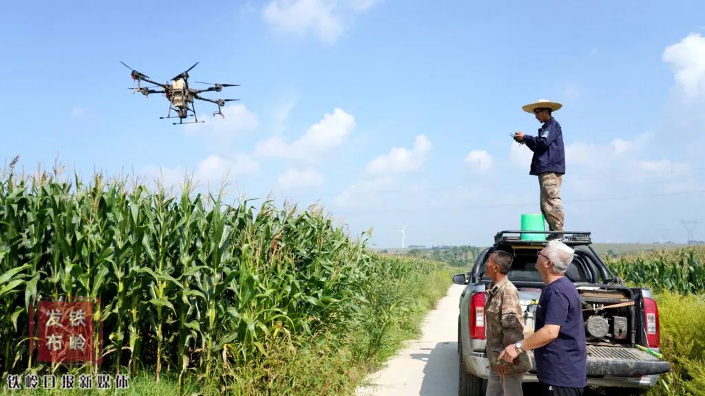 昌图县老城镇农民使用无人机进行生物防控作业    关兴摄