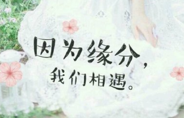 缘分回复技巧大全 社交应对万能指南