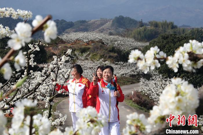 福建连城:李花飘香 四堡探遗__财经头条