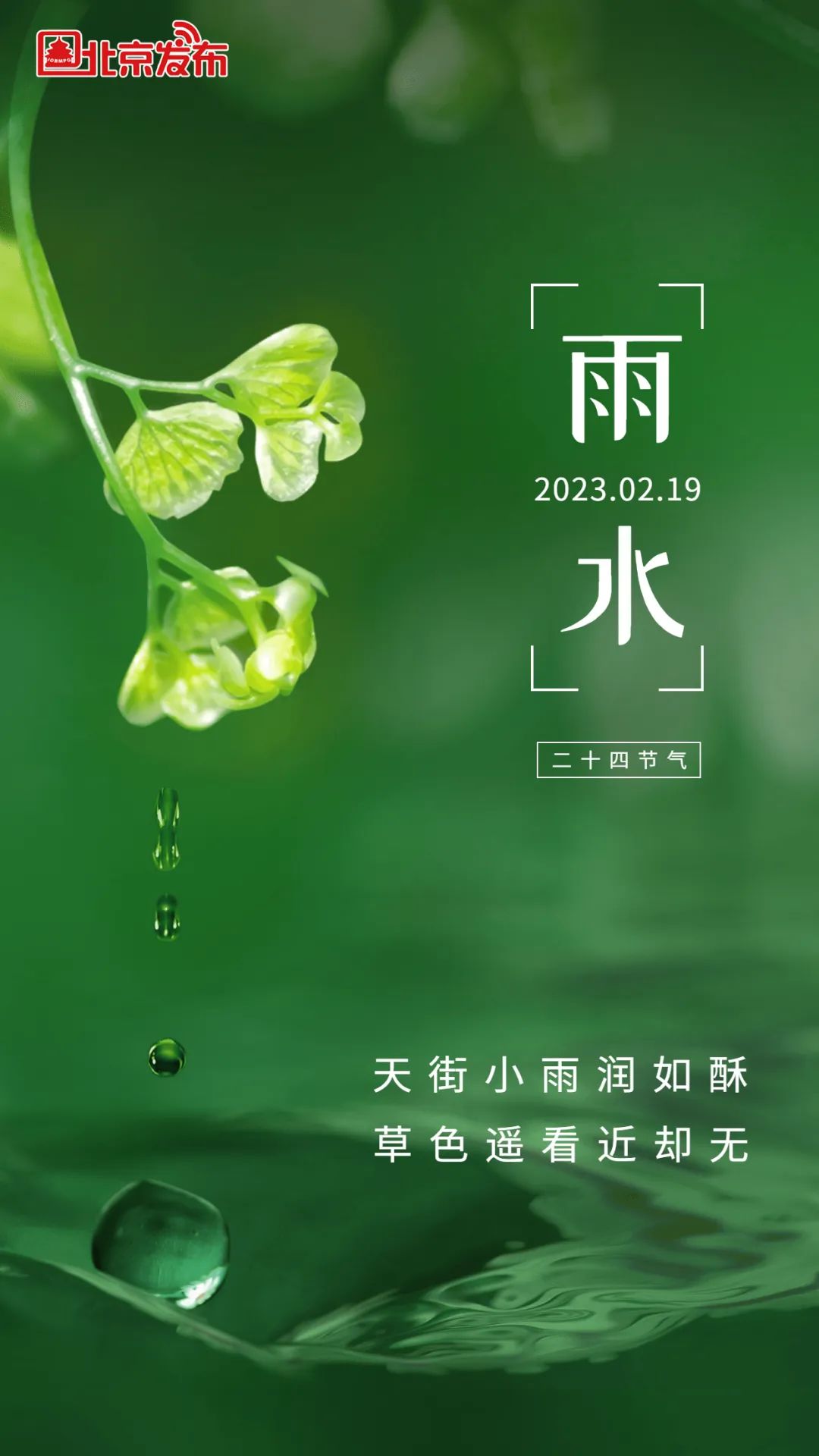 今日雨水 | 一帘新雨后,人间又逢春