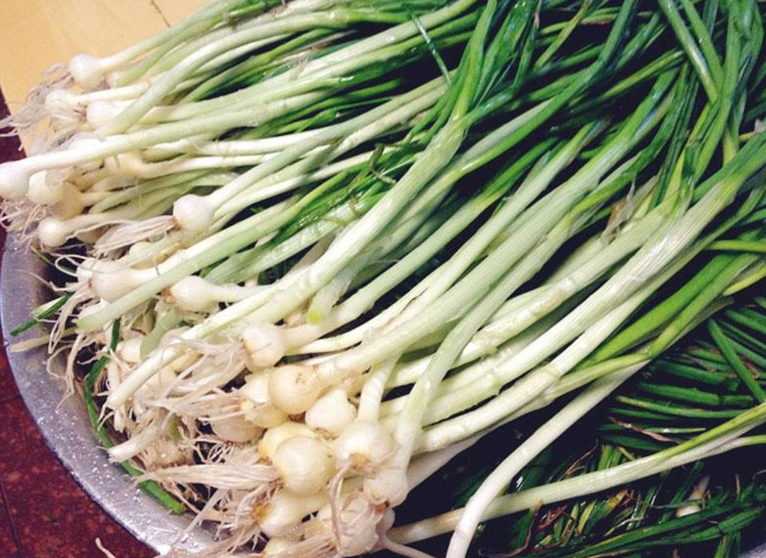 农村野菜胡葱,香气浓郁又下饭,营养价值极高,有钱也难买到__财经头条