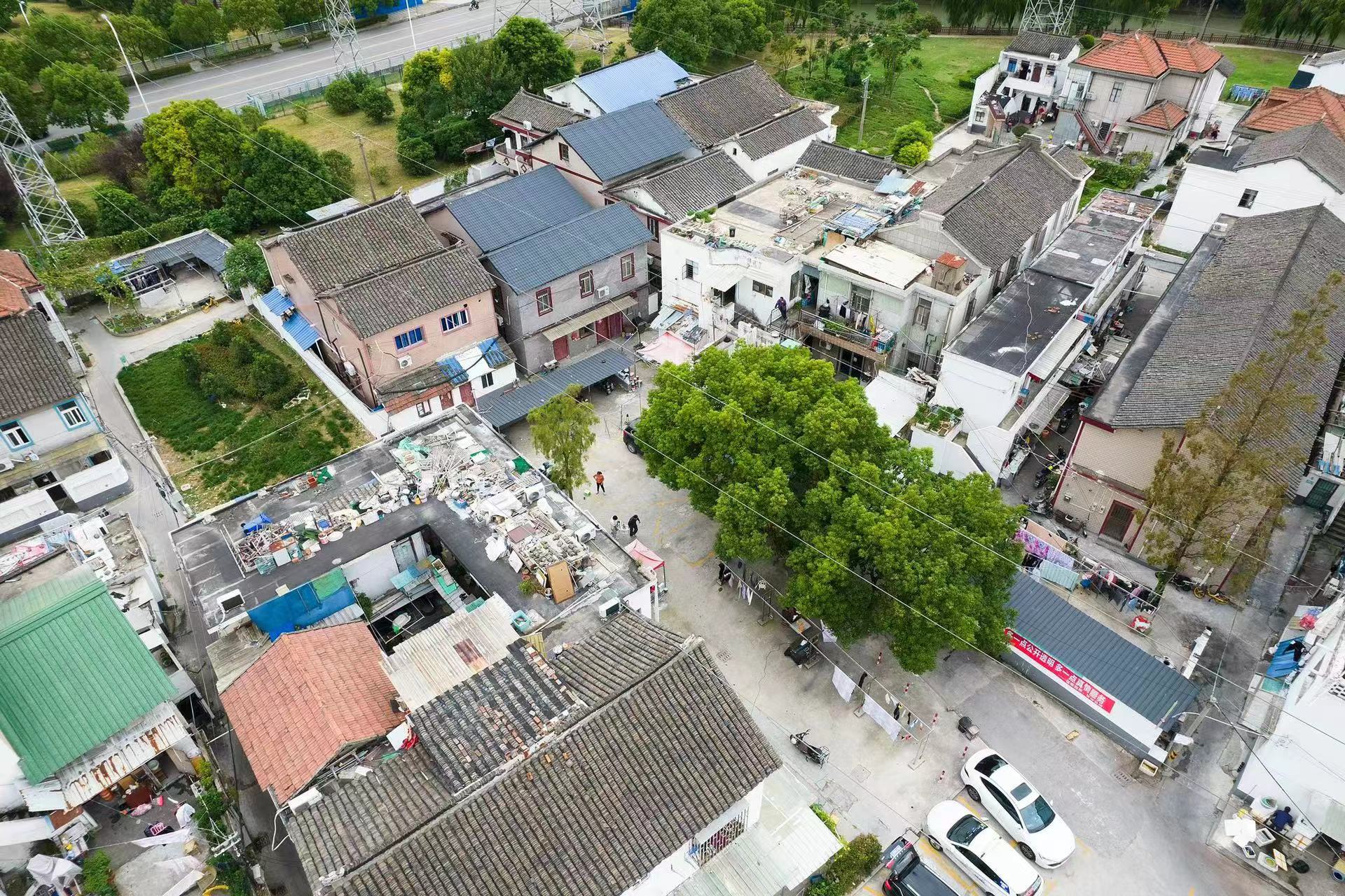 “城中村”改造的北蔡速度:5个月内完成签约率99.8%_手机新浪网
