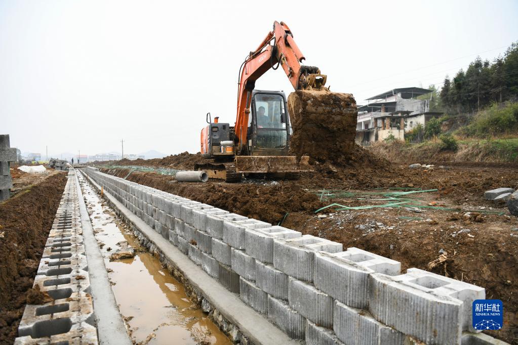 农业技术研究院——引领未来绿色革命的方向