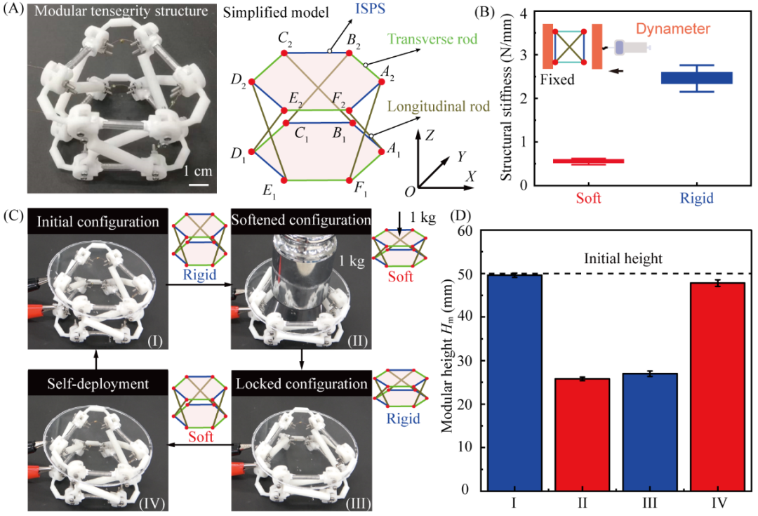图丨张拉整体结构模块的变形调控（来源：Advanced Materials Technologies）