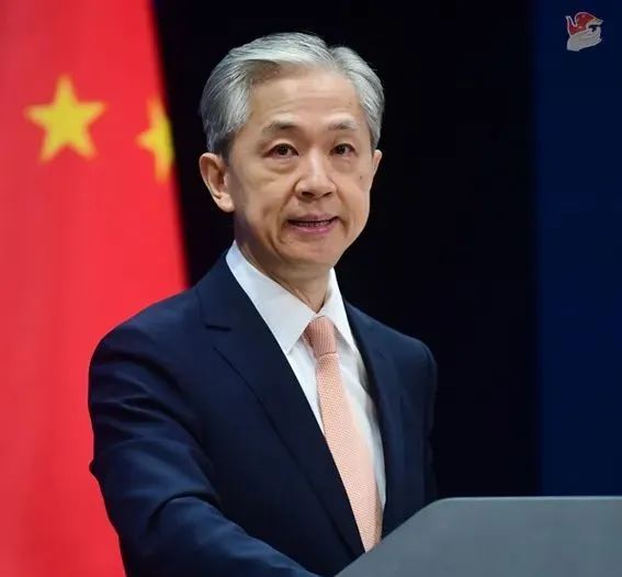 汪文斌 资料图，图源：外交部网站 