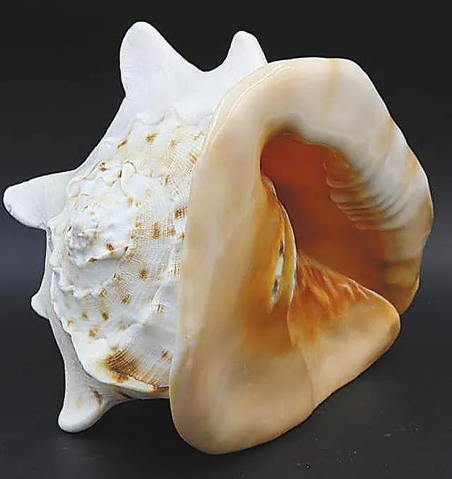 海南省_新浪财经_新浪网