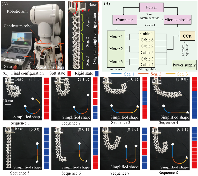 图丨可编程刚度的连续型机器人（来源：Advanced Materials Technologies）