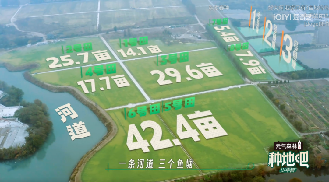 终于!有人下手折腾这帮明星了…|种地吧_新浪新闻