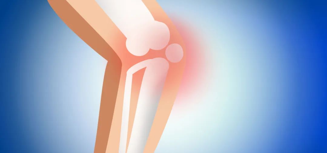 科学规避骨质疏松风险,让身子骨"硬"起来!