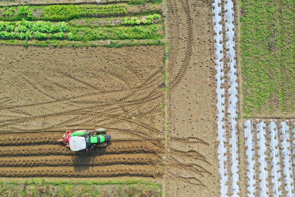 中国深耕科技沃土备春耕_新浪财经_新浪网