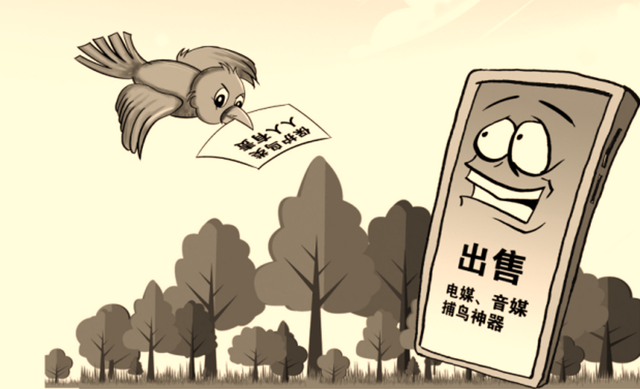 区的张铮研究起了一项自己此前从未了解过的"技术"——"电媒捕鸟"法