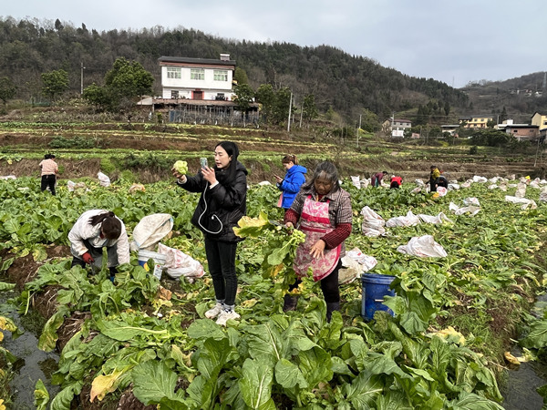 帮助广大种植户销售农产品 丰都让乡村土货搭上电商快车