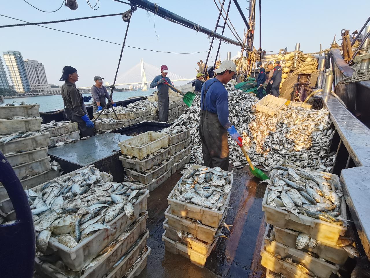 深夜,非法捕鱼超10万斤,查!|海口市|渔船_新浪新闻