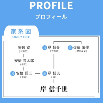 安倍侄子在竞选主页晒家谱图被批：除了家世还剩什么