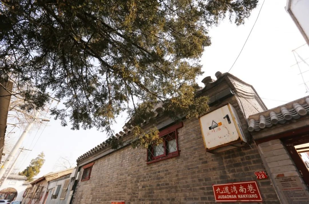 情满九道弯央视热播主创团队齐聚东城胡同分享创作心路