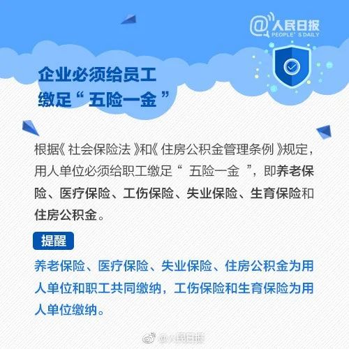 没有五险一金的一生，会怎样？休闲区蓝鸢梦想 - Www.slyday.coM