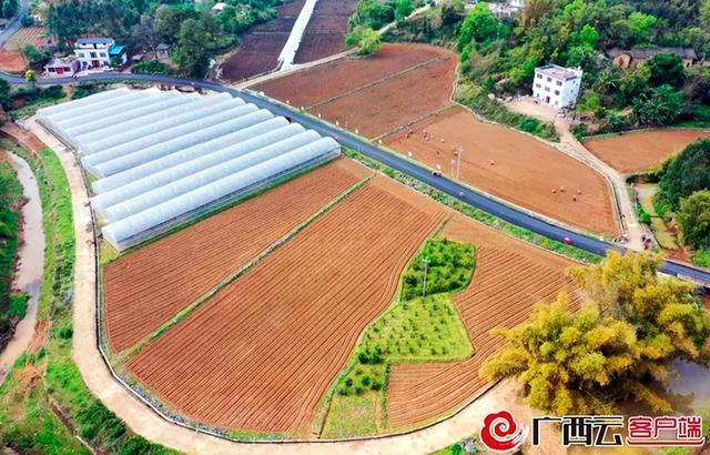 贺州市八步区莲塘镇炭冲村耕地航拍图.广西日报记者 黄筱珂 罗添 摄