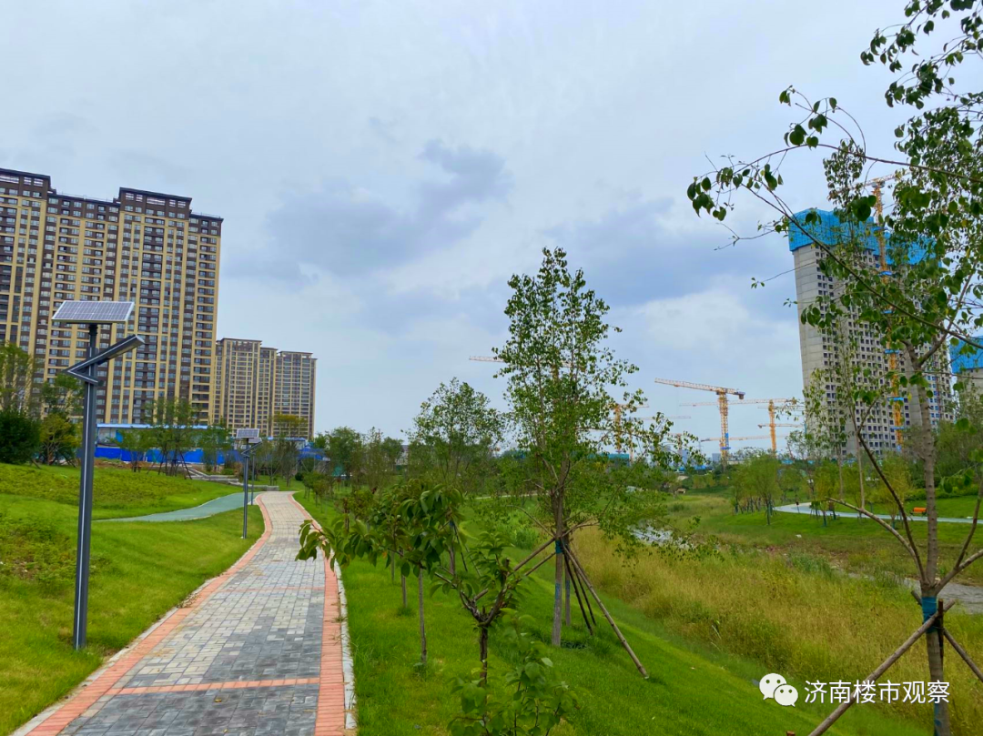 从附近已经建好的段落看,韩仓河景观带地势开阔,沿线种植了各种树木