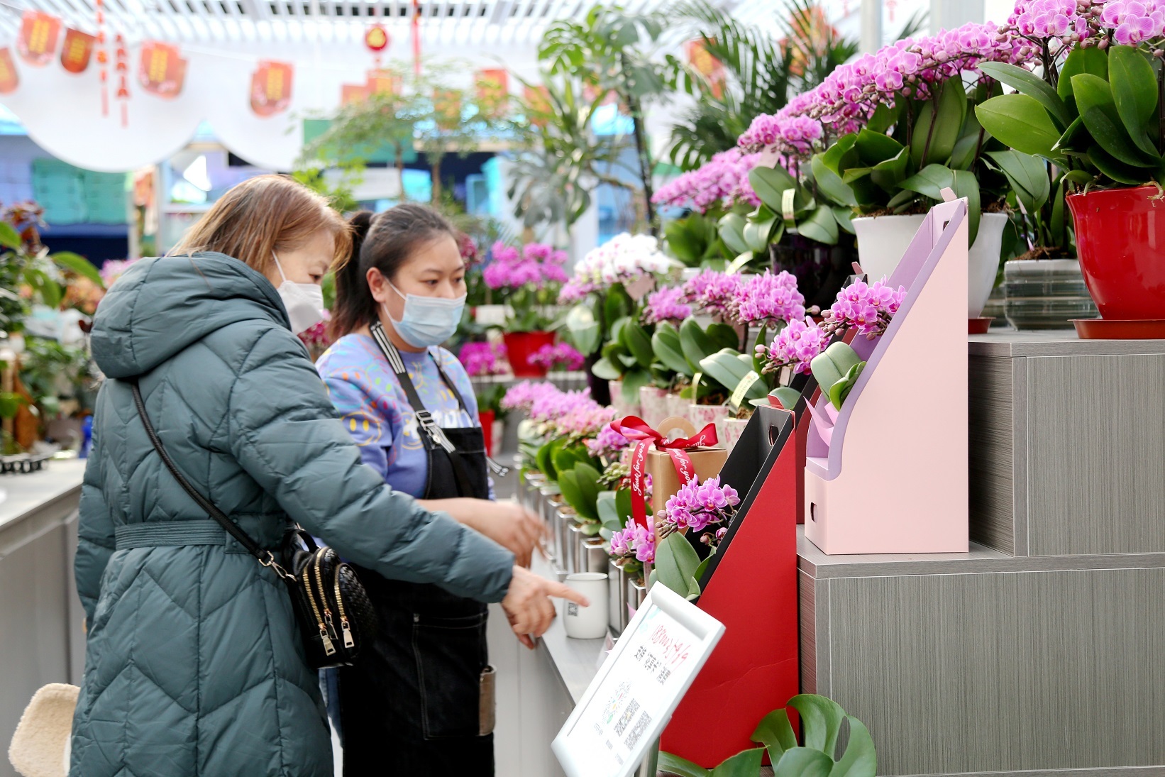 丰台:聚焦高品质生活服务供给 做好花卉产业大文章