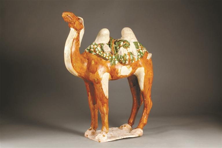 三彩骆驼:看见丝绸之路|唐代|文物|深圳博物馆_新浪新闻