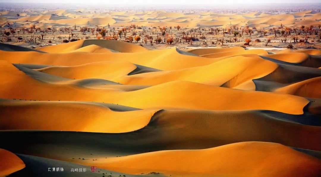 请问这个沙漠具体在什么地方?谢谢!