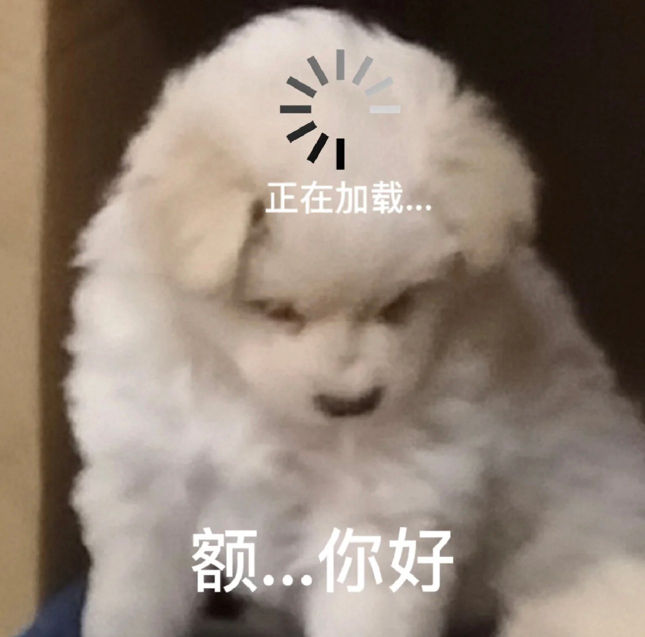 提高seo搜索排名