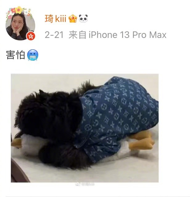 近日,配音演员张琦@琦kiii 因诺拉的配音而热度极高……|原子之心冰箱|伊芙琳|汪汪队立大功之超能救援|赛博朋克2077|原子之心魅魔冰箱_新浪新闻