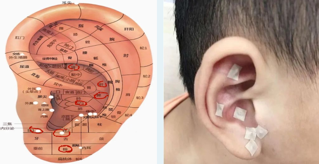 近视防控正当时!守护孩子清晰未来,这份指南请收好