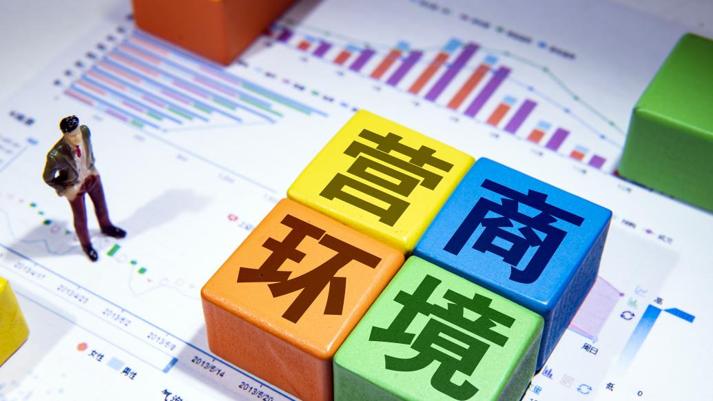 索要巨额财物问题;海口江东新区管理局招商引资一部原副部长王文龙