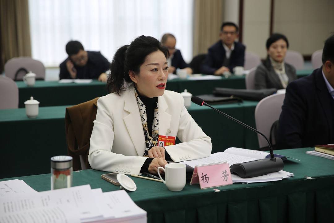 成都市人大代表杨芳建议在城市更新中探索分楼栋分单元改造扶持一批高