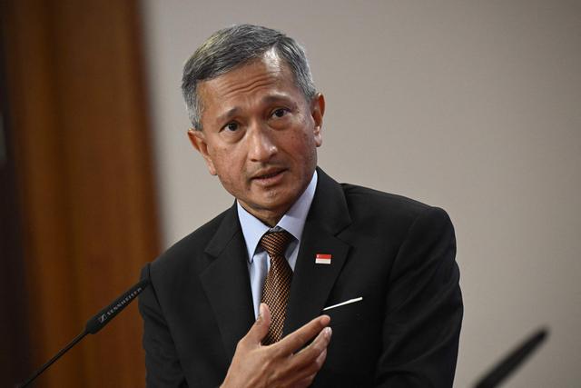 新加坡外交部长维文. 视觉中国 资料图