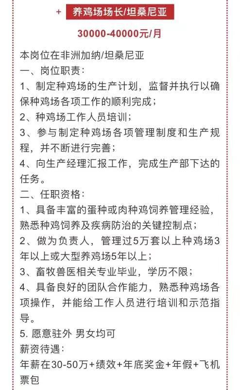 青岛一企业月薪4万招人去非洲养鸡 需相关专业且经验丰富休闲区蓝鸢梦想 - Www.slyday.coM