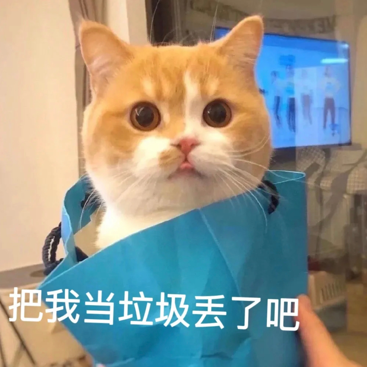 表情包来了 把我当垃圾丢了吧 拿捏住了 我有什么错……|表情包|王八|念经_新浪新闻