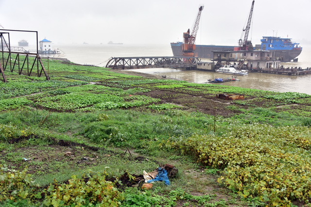 农业面源污染成首要污染源.摄影/章轲