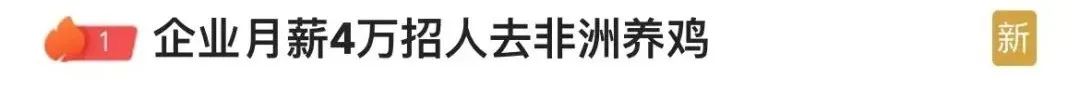 月薪4万招人养鸡!工资真实,但有人一听地点就退缩:再多钱也不去