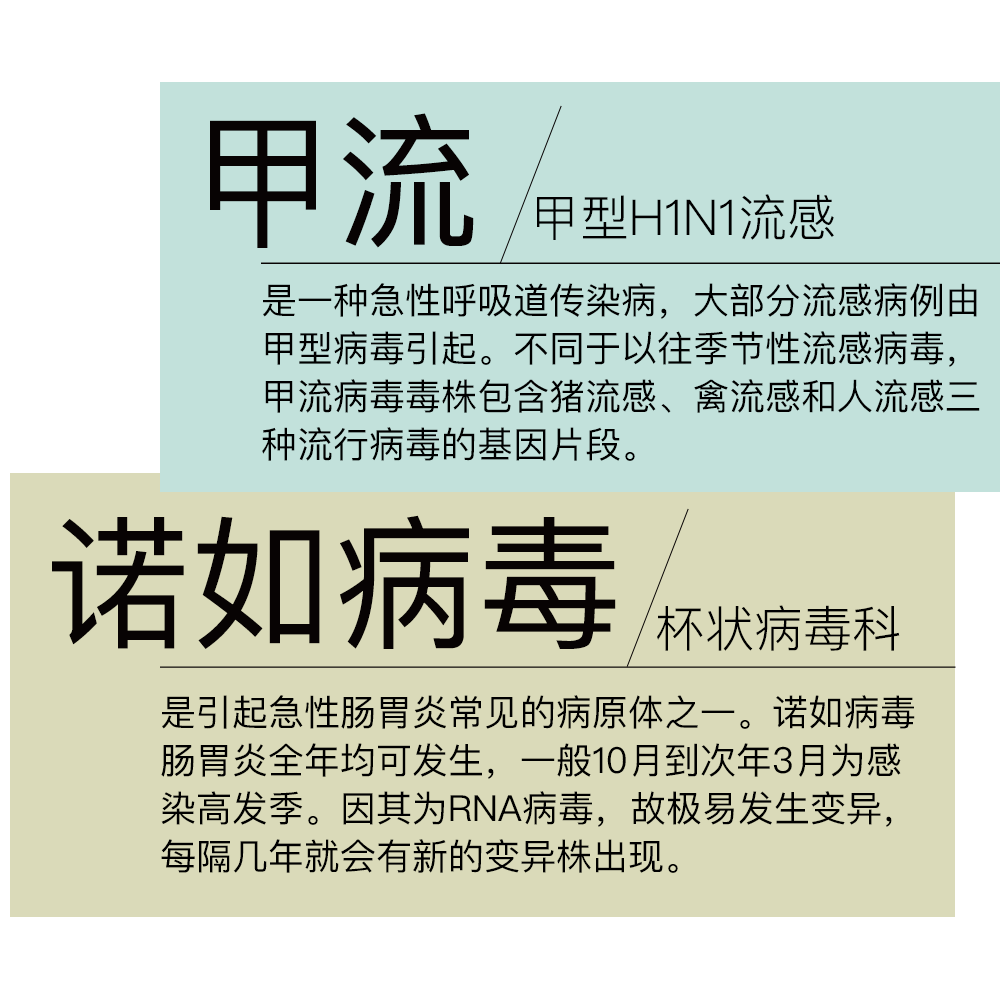 甲流、诺如病毒进入高发期，可能比你想象中的更危险休闲区蓝鸢梦想 - Www.slyday.coM