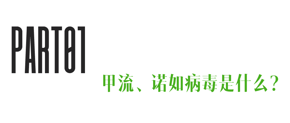 甲流、诺如病毒进入高发期，可能比你想象中的更危险休闲区蓝鸢梦想 - Www.slyday.coM