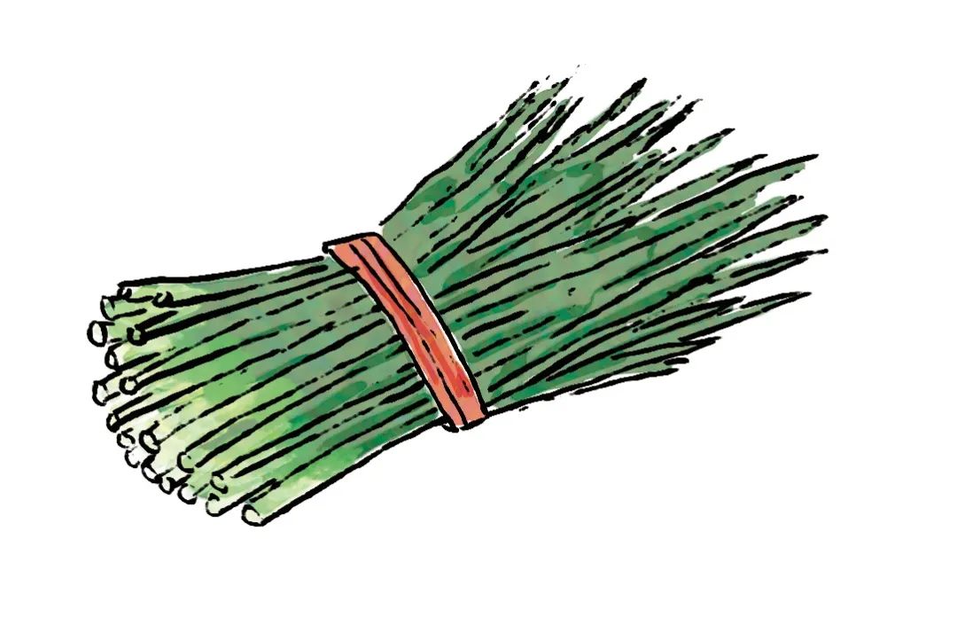 做一棵有自我修养的韭菜