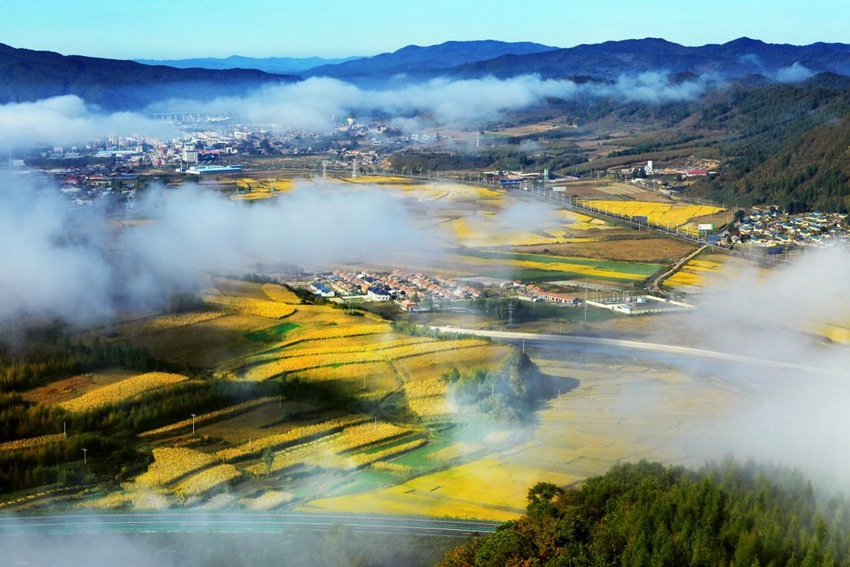 安图县企业建站_(安图县政府招标网)