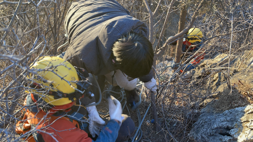 想买辆电动车和“驴友”们一起集结骑行,大家都在骑什么车呀?