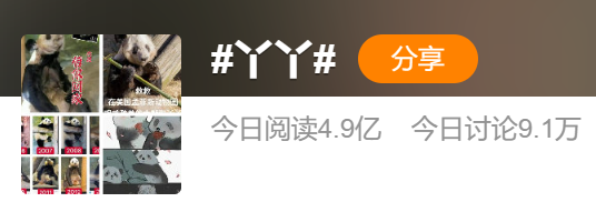 被质疑遭受“虐待”的旅美大熊猫，到底经历了什么？