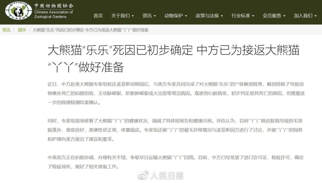 中方已为接返“丫丫”做好准备！“乐乐”死因初步确定→休闲区蓝鸢梦想 - Www.slyday.coM