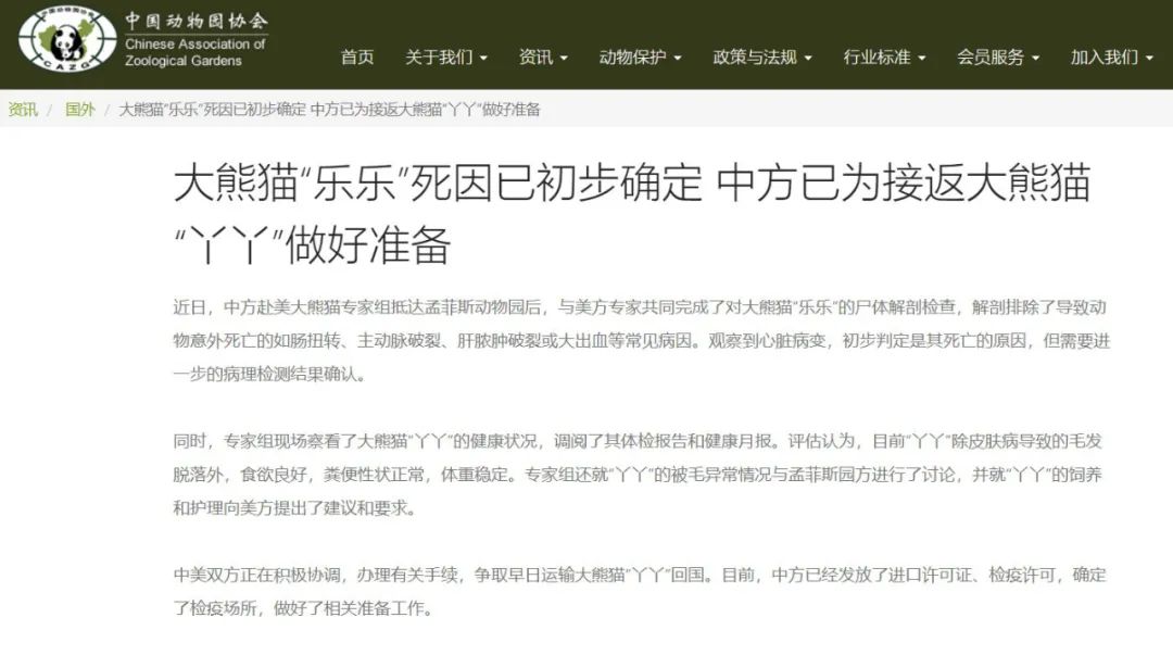 官宣：中方已为接返熊猫“丫丫”做好准备！“乐乐”死因初步确定