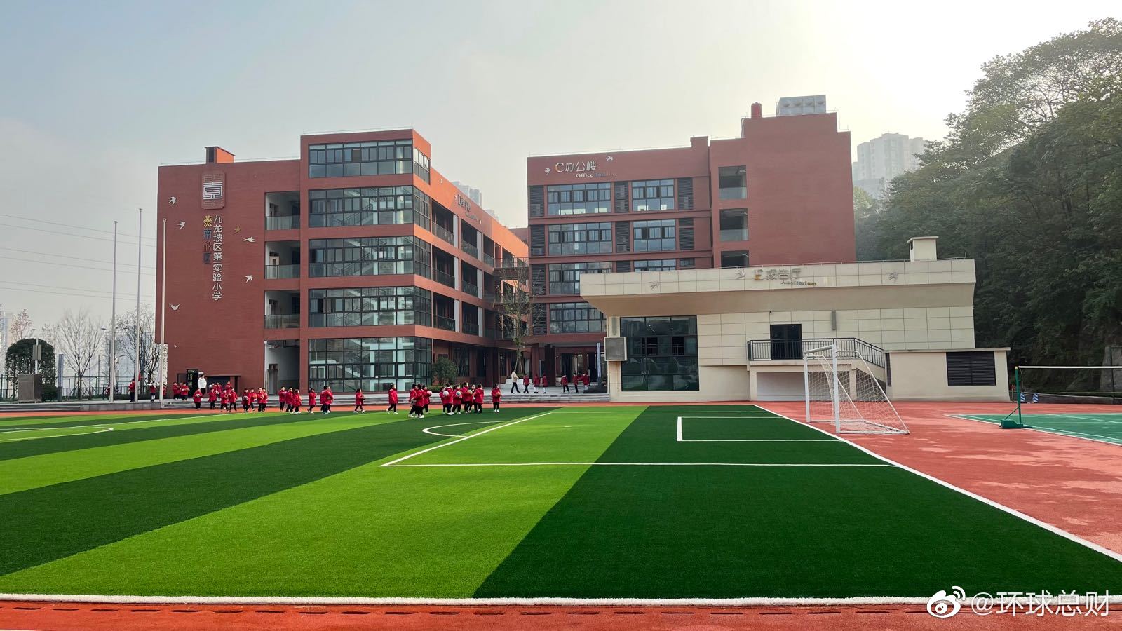 政协委员贺丹：建议小学教育年限缩短到5年