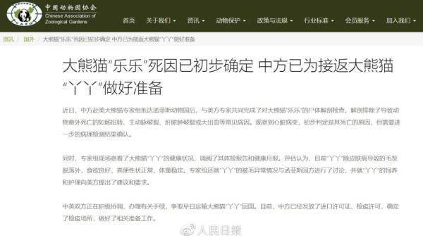旅美大熊猫丫丫现身纽约时代广场大屏幕，祝早日回到祖国怀抱！休闲区蓝鸢梦想 - Www.slyday.coM
