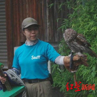 网友呼吁接旅美大熊猫丫丫返乡 日本上野动物园分享经验：健康饲养是根本性条件休闲区蓝鸢梦想 - Www.slyday.coM