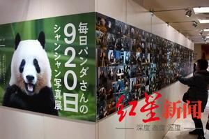 网友呼吁接旅美大熊猫丫丫返乡 日本上野动物园分享经验：健康饲养是根本性条件休闲区蓝鸢梦想 - Www.slyday.coM